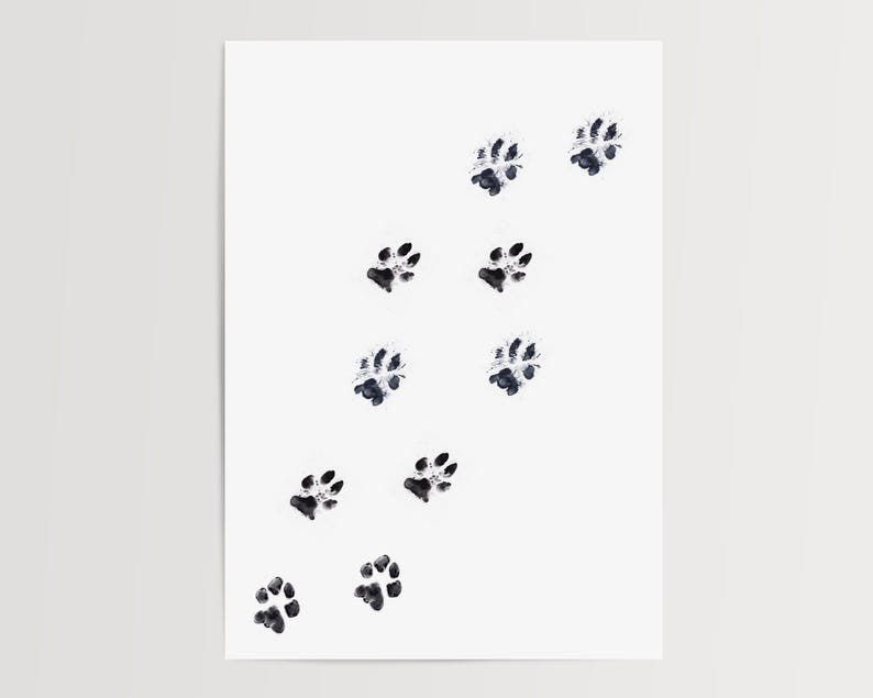 May include: A white background with a series of black paw prints in a diagonal line. The paw prints are of varying sizes and are slightly blurred.