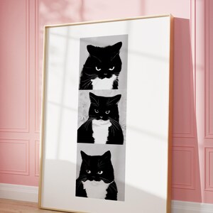 May include: Framed art print featuring three black and white cat portraits. Each cat has a black coat with white markings and a stern expression. The artwork is displayed in a gold frame against a pink wall.