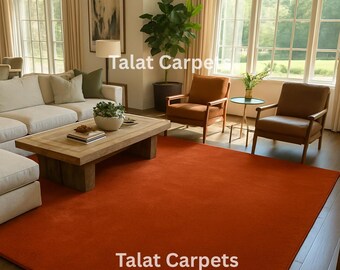Solid Rust Orange Area Rug, Modern Minimalist Carpet