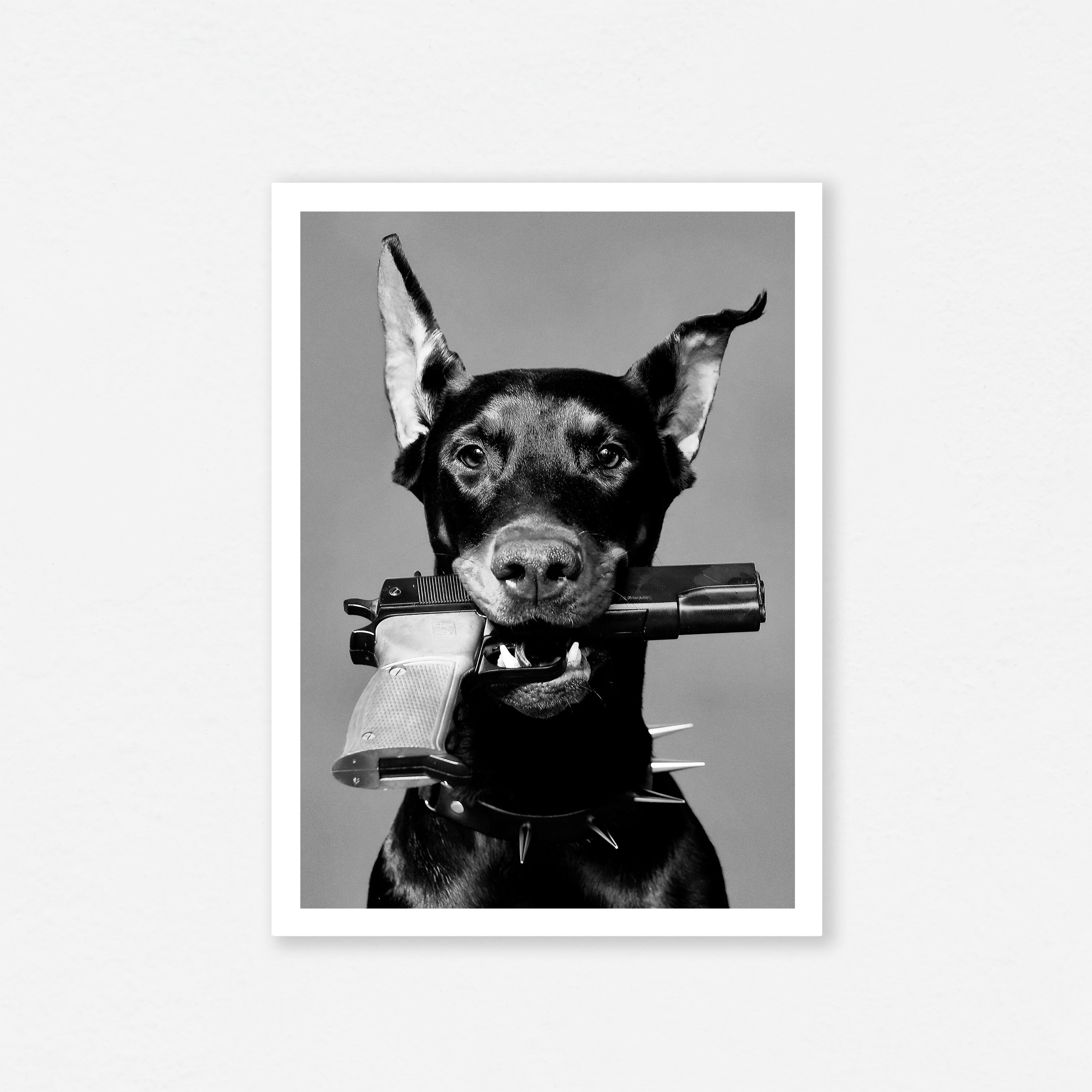 Explore Holly Scherner'S Pinterest:  Home Decor, Fashion & More - z78yrp1