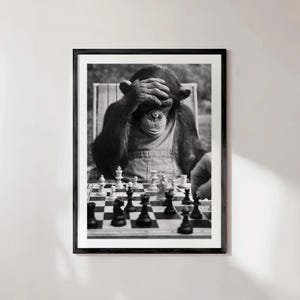 Può includere: Stampa incorniciata in bianco e nero di uno scimpanzé che gioca a scacchi. Lo scimpanzé si copre gli occhi con la mano, come se stesse pensando. La scacchiera è a fuoco, con i pezzi disposti per una partita.