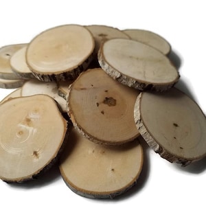 SET 300 3 to 3.5&quot; Diameter 1/4&quot; Thick: Tree Slice-Wood Slices-Rustic Wedding Decor-Wood Slices-Tree Log Slices-Art Blanks- Completely Dried