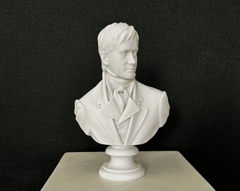 Mr. Darcy Bust Sculpture, 25cm / 10 inch - Pride and Prejudice Decor, Darcy Statue, A Unique and Thoughtful Gift