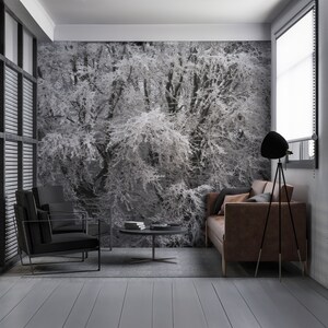 Premium Self-adhesive removable wallpaper mural landscape scenic peel and stick wallpaper tree forest gothic moody dark academia wallpaper