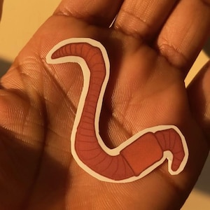 Sticker Lil Worm - Vinyl Worm Sticker voor laptop, iPad of dagboek