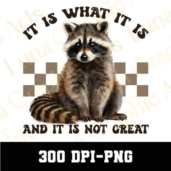 It Is What It Is And It Is Not Great PNG, Funny Raccoon PNG, Raccoon Meme Png, Racoon Png, Sarcastic Saying Png, Trending Png