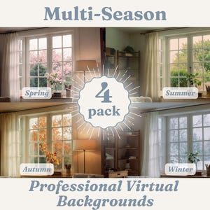 May include: Four professional virtual background images featuring a window view of different seasons: spring, summer, autumn, and winter.  The images are labelled with the season name and the text "4 pack" is displayed in the centre.