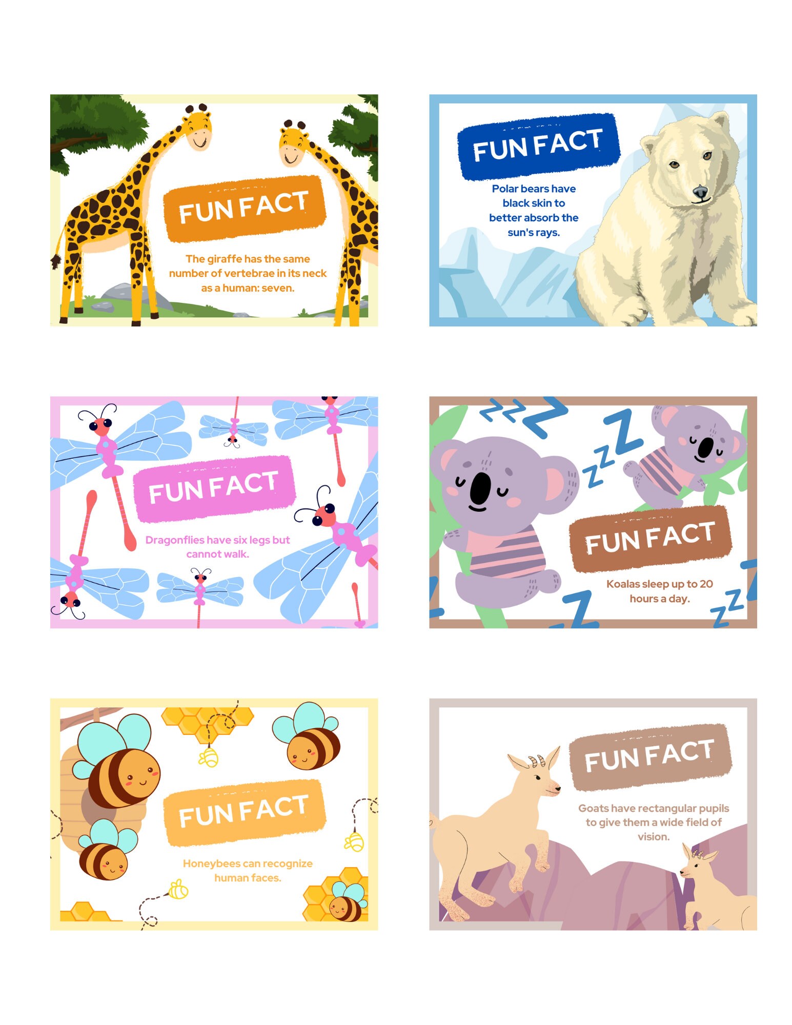 50 Printable Lunch Box Animal Fact Cards - Educational and Fun Animal ...