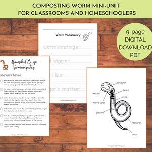 Composting Worm Anatomy Mini Unit Study for Homeschool Co-ops and Classrooms Science Learning Nature & Garden Learning Educational Activity
