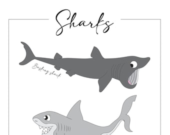 Shark prints, shark species art, , shark art, types of sharks, shark nursery print, educational prints, shark illustrations