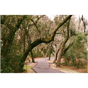 Gulf State Park II Alabama Photography Print