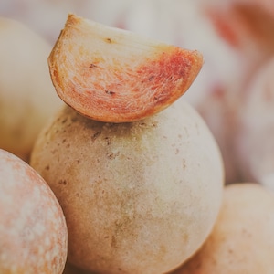Sapodilla/Sapote Caribbean South African/Mexican fruit Tropical fruit Sapotille Suriname