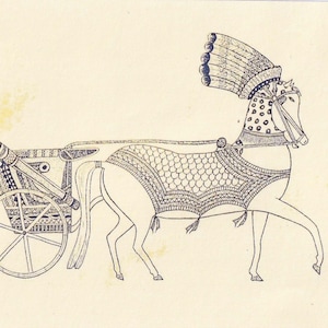 Carro cerimoniale del re Ramesse II. Confezioni di 5 note dell'artista irlandese Rob Steinke