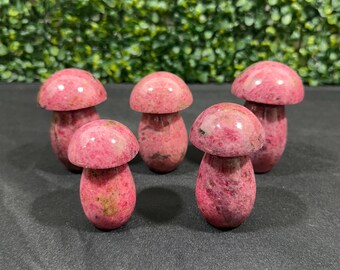 Rhodonite Mushroom | Rhodonite from Madagascar | Love and Relationships | You Pick