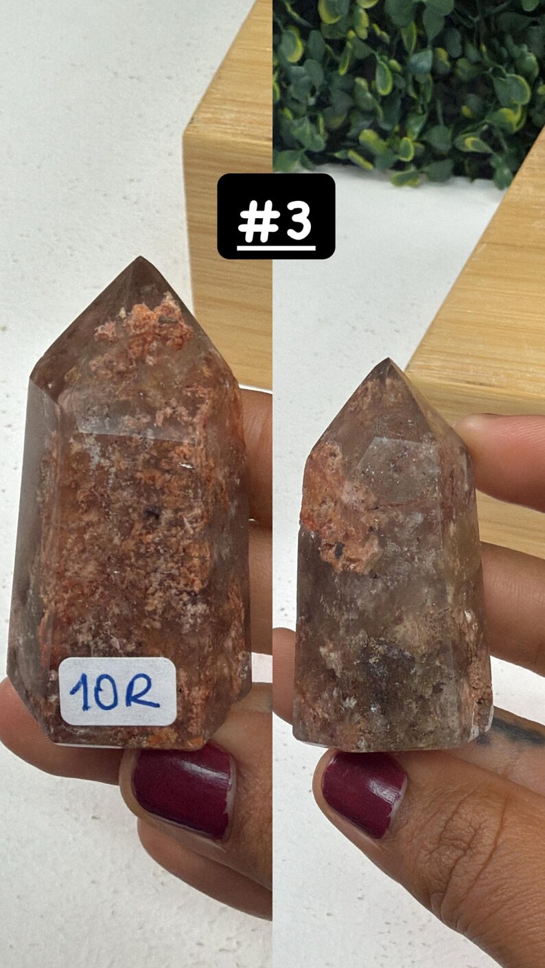 May include: Two reddish-brown quartz crystal points. The crystals have a textured appearance with areas of lighter and darker tones. One crystal has a label with the number "10R". The background includes a wooden surface and greenery.