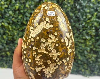 Ocean Jasper Free Form No. 18 | Balance & Wellness