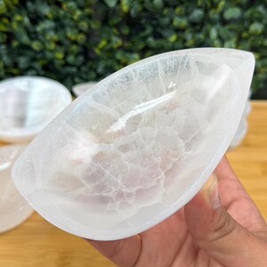 Satin Spar Bowl 4 in. | Medium Selenite Bowl | Cleansing and Spiritual Growth Petal