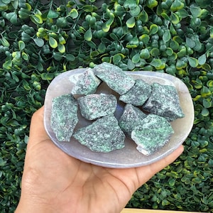 Peut inclure: Un ensemble de pierres de rubis zoïsite brutes dans un bol ovale gris clair. Les pierres sont un mélange de vert foncé et de noir avec des mouchetures rouges. Le bol est tenu dans une main, avec un fond de feuillage vert.