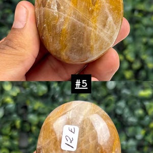 May include: A polished, oval-shaped gemstone with a warm, golden-brown hue. The stone has a smooth, reflective surface with natural patterns. The image includes the text "#5" and "12 E" on a white label.