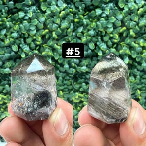 May include: Two clear quartz crystal points with internal inclusions and a faceted top. The crystals are held in a hand, with a green leafy background. The text "#5" is in a black box above the crystals.