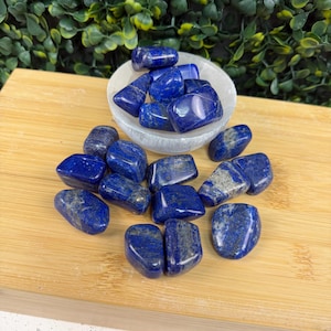 May include: A collection of polished lapis lazuli stones in various shapes and sizes. The deep blue stones, some with flecks of gold, are scattered on a wooden surface, with some in a small white bowl. The background features green foliage.