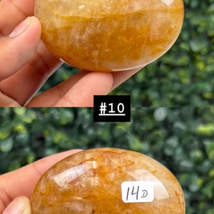 May include: Two polished, oval-shaped gemstones with a golden-yellow hue. The stones have a smooth, glossy surface with internal patterns. The image includes the text "#10" and "14D".