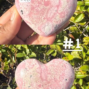 May include: A pink heart-shaped stone with white and darker pink veining. The stone is held in a hand against a backdrop of green foliage. The number "32B" is written on the stone. The number "# 1" is written on the image.
