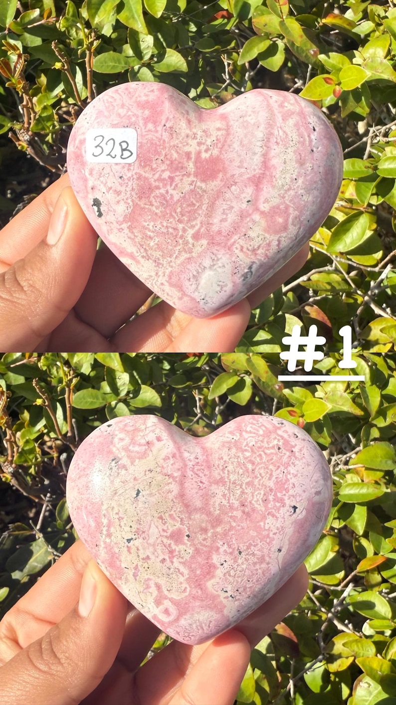 May include: A pink heart-shaped stone with white and darker pink veining. The stone is held in a hand against a backdrop of green foliage. The number "32B" is written on the stone. The number "# 1" is written on the image.