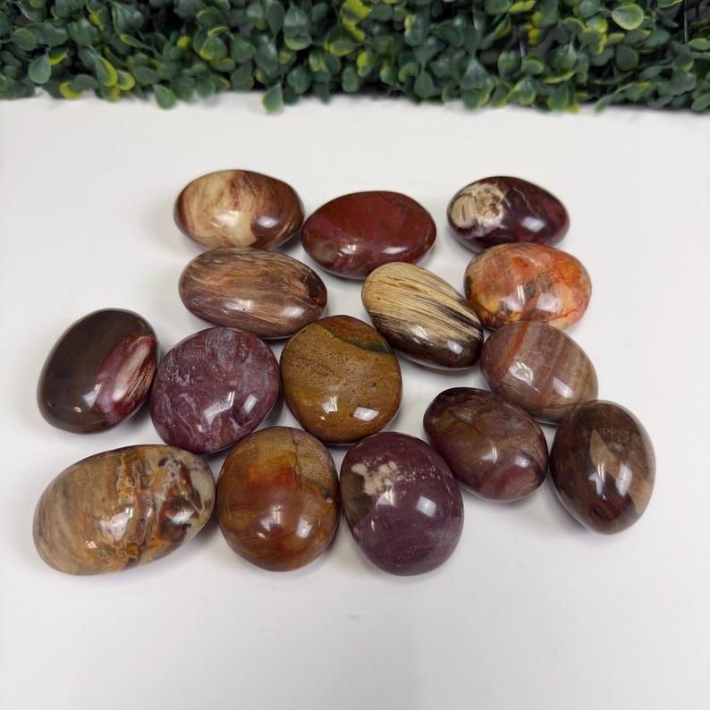 Petrified Wood Small Palm Stone | You Pick | Protection & Grounding image 1