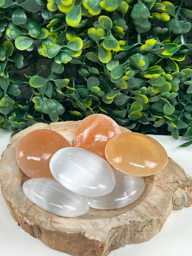 Pode incluir: Uma cole&ccedil;&atilde;o de pedras polidas laranja e brancas exibidas numa tigela de madeira. As pedras variam em tamanho e forma, com um acabamento liso e brilhante. O fundo apresenta folhagem verde.