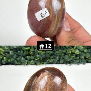 Petrified Wood Small Palm Stone | You Pick | Protection & Grounding #12