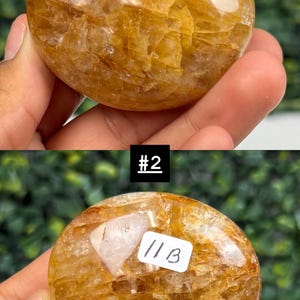 May include: A golden-yellow, rounded stone with a polished surface. The stone has a translucent quality, revealing internal patterns. The image includes a label with the number "#2" and another with "11B".