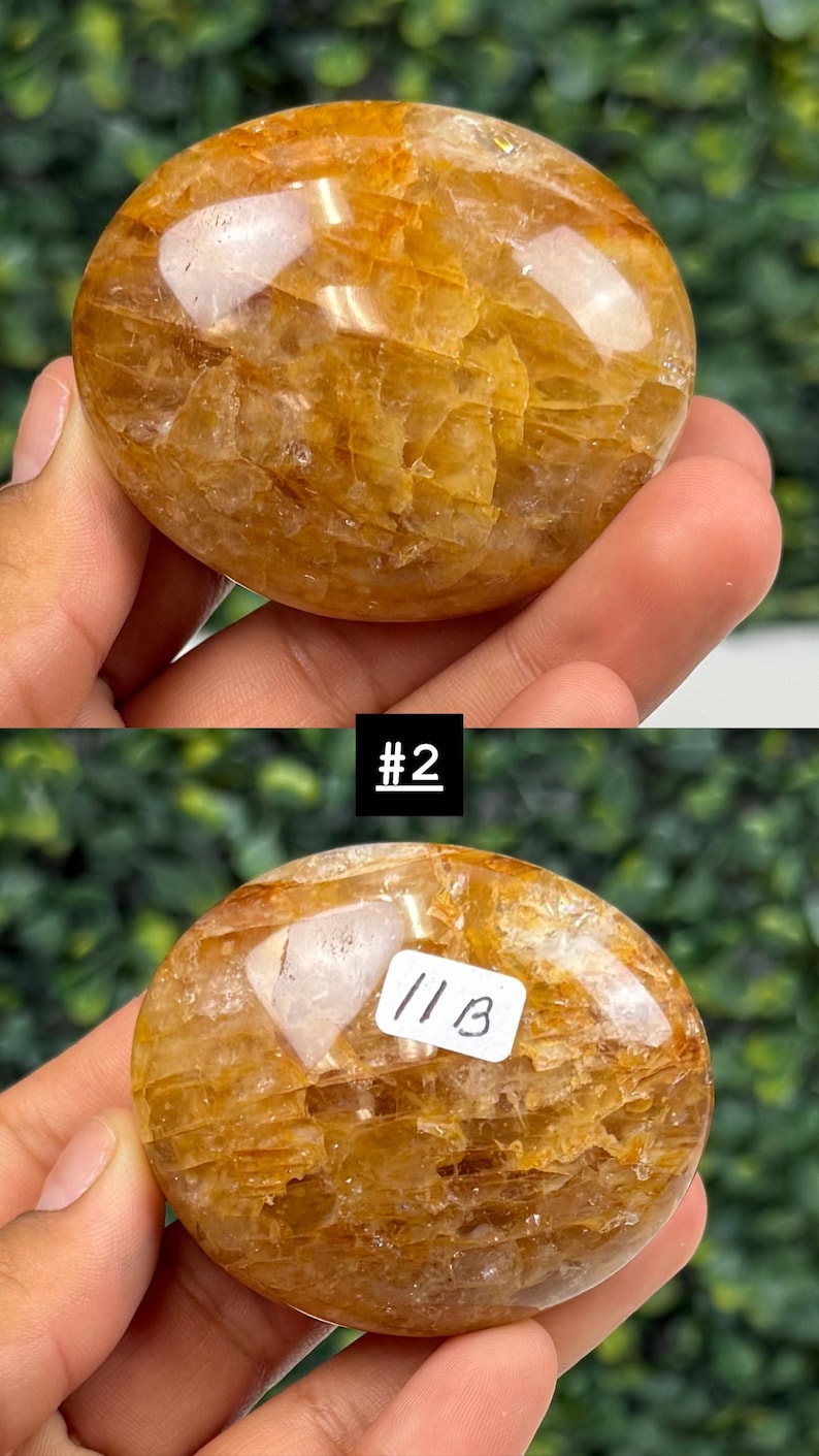 May include: A golden-yellow, rounded stone with a polished surface. The stone has a translucent quality, revealing internal patterns. The image includes a label with the number "#2" and another with "11B".