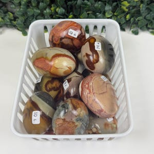 Polychrome Jasper Medium Palm Stone | You Pick | Grounding and Balance