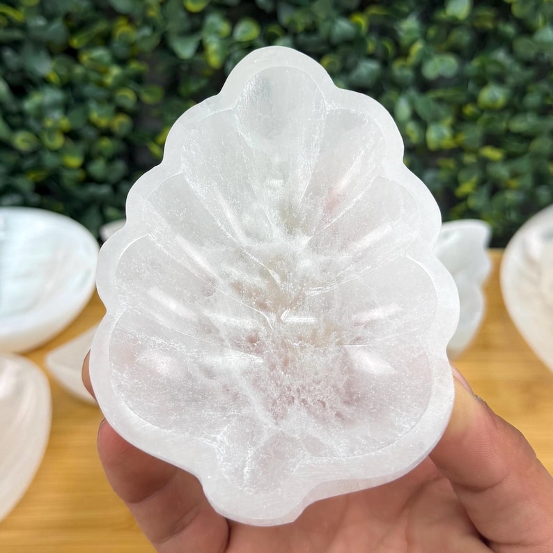 Satin Spar Bowl 4 in. | Medium Selenite Bowl | Cleansing and Spiritual Growth Leaf