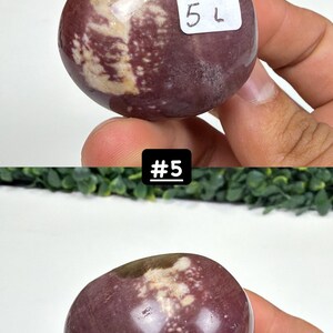 Petrified Wood Small Palm Stone | You Pick | Protection & Grounding #5