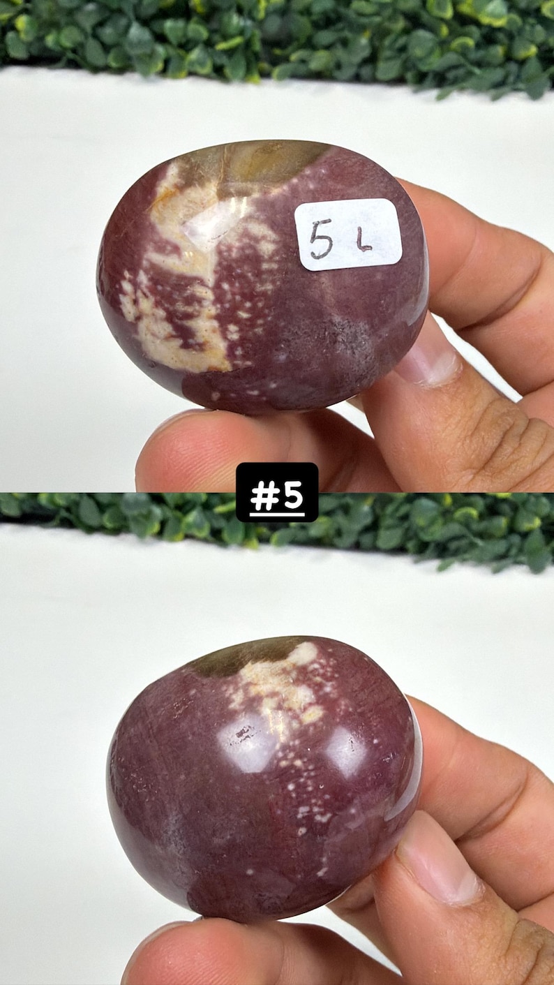 Petrified Wood Small Palm Stone | You Pick | Protection & Grounding #5