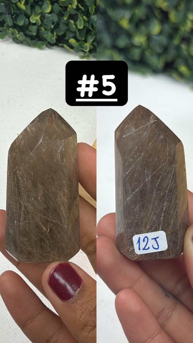 May include: Two brown quartz crystal points with internal inclusions. The crystals are held in hands, with a black square label above the crystals that reads "#5". A small white label on one crystal reads "12J".