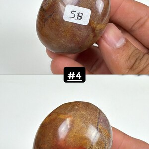 Petrified Wood Small Palm Stone | You Pick | Protection & Grounding #4