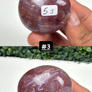 Petrified Wood Small Palm Stone | You Pick | Protection & Grounding #3