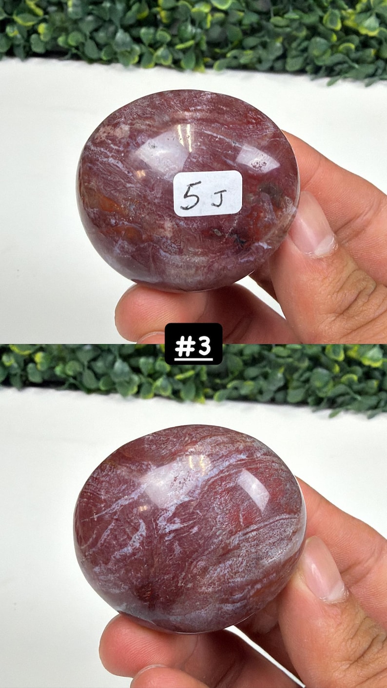 Petrified Wood Small Palm Stone | You Pick | Protection & Grounding #3