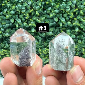 May include: Two clear quartz crystal points with internal inclusions are displayed. The crystals have a hexagonal shape and are held up against a green leafy background. The text "#3" is in a black rectangle.