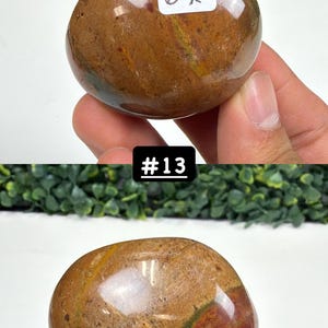 Petrified Wood Small Palm Stone | You Pick | Protection & Grounding #13