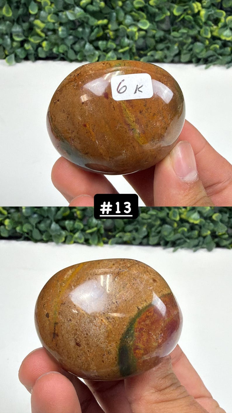 Petrified Wood Small Palm Stone | You Pick | Protection & Grounding #13