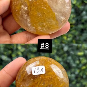 May include: Two polished, golden-yellow gemstones with internal inclusions are held in hands. One stone has the number "#8" on a black square, and the other has "13A" on a white label. The background is a blurred green.
