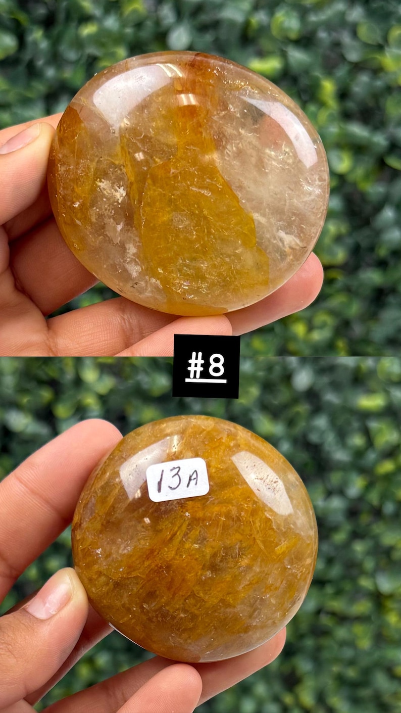 May include: Two polished, golden-yellow gemstones with internal inclusions are held in hands. One stone has the number "#8" on a black square, and the other has "13A" on a white label. The background is a blurred green.