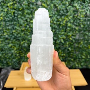 May include: A white selenite crystal wand, vertically oriented, with a layered, textured appearance. The crystal is held in a hand against a backdrop of green foliage. The wand is approximately 6 inches tall.