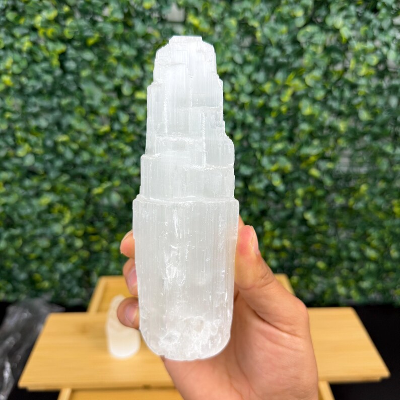 May include: A white selenite crystal wand, vertically oriented, with a layered, textured appearance. The crystal is held in a hand against a backdrop of green foliage. The wand is approximately 6 inches tall.