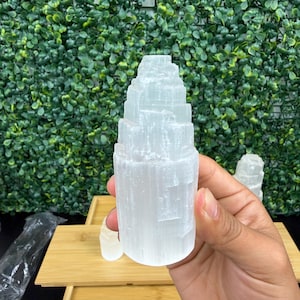 May include: A white selenite tower crystal, held in a hand, with a layered, textured appearance. The crystal is cylindrical with a flat top. Additional selenite crystals are visible on a wooden tray in the background. The background features a wall of green foliage.