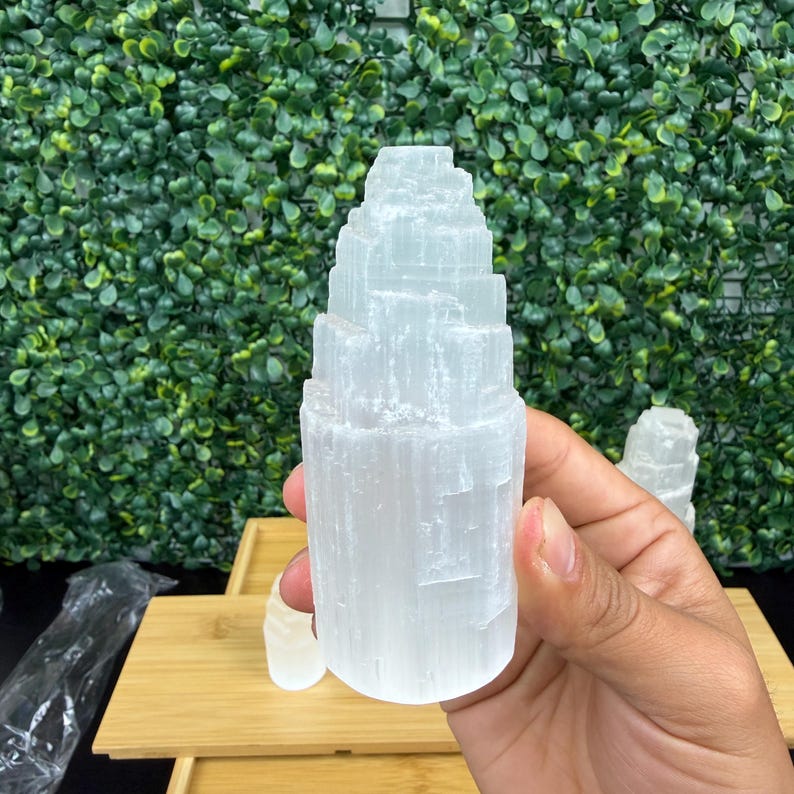 May include: A white selenite tower crystal, held in a hand, with a layered, textured appearance. The crystal is cylindrical with a flat top. Additional selenite crystals are visible on a wooden tray in the background. The background features a wall of green foliage.